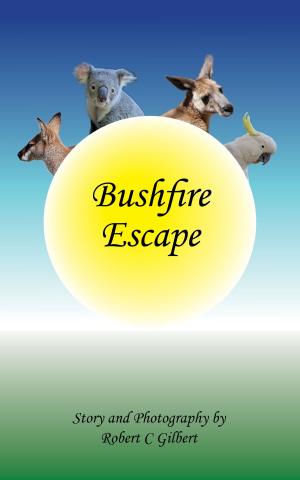 Cover of the book Bushfire Escape by Jennifer Steward