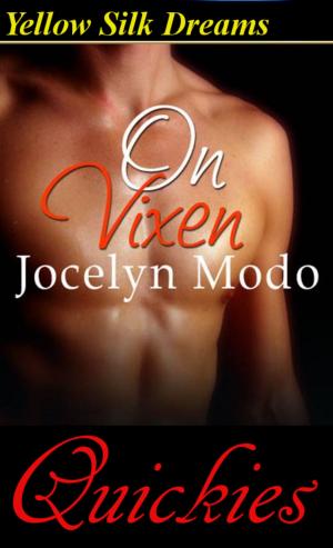 Cover of the book On Vixen by Simon Cantan