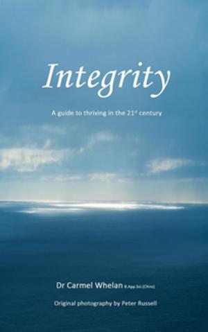 Cover of the book INTEGRITY by Aramis Latchinian