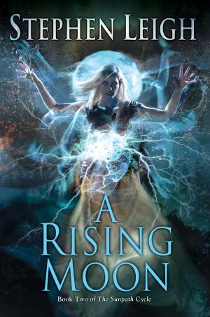 Cover of the book A Rising Moon by Georgina Hannan