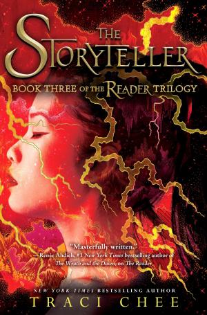 Cover of the book The Storyteller by Kerry Kletter