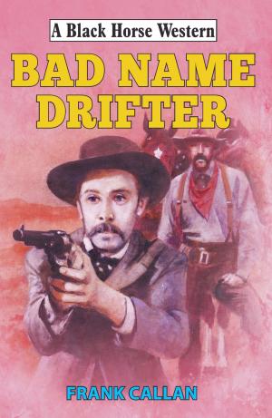 Cover of the book Bad Name Drifter by PD Lorenz