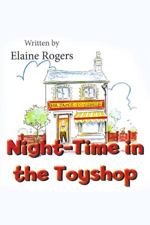 Cover of the book Night-Time in the Toyshop by Derrick Belanger