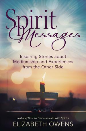 Cover of the book Spirit Messages by Amber K Azrael Arynn K