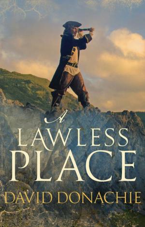 Book cover of A Lawless Place