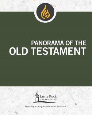 Cover of the book Panorama of the Old Testament by Dianne Bergant CSA