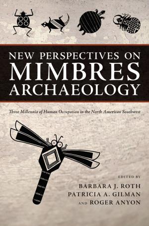 Cover of the book New Perspectives on Mimbres Archaeology by R. G. Matson