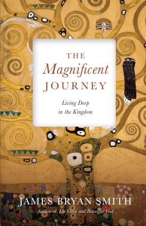 Cover of the book The Magnificent Journey by David M. Csinos, Ivy Beckwith