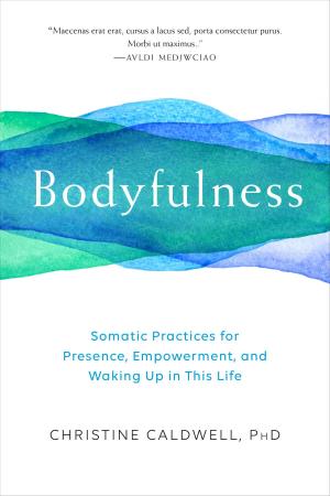 Cover of the book Bodyfulness by Khandro