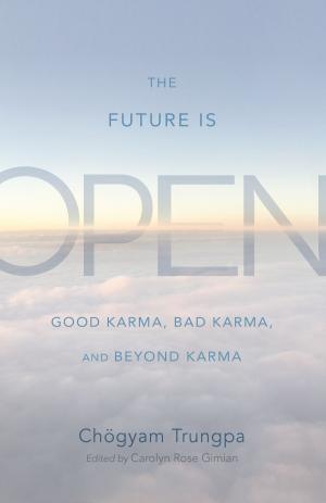 Cover of the book The Future Is Open by 