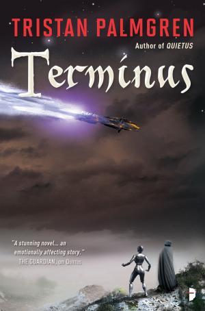 Cover of the book Terminus by Haim Shapira