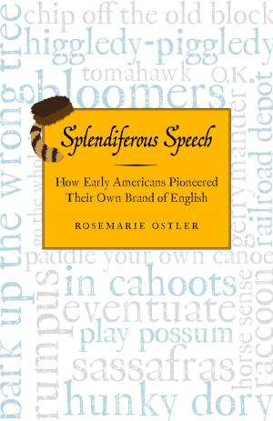 Cover of the book Splendiferous Speech by David Todd