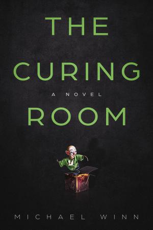 Book cover of The Curing Room