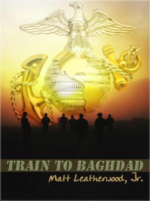 Cover of Train To Baghdad