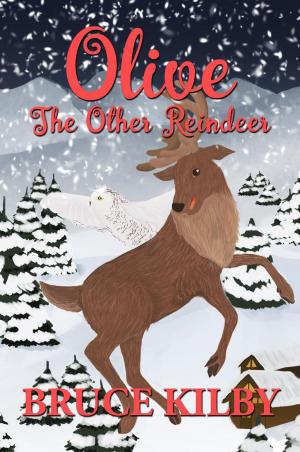 Cover of the book Olive the Other Reindeer by Licia Oliviero