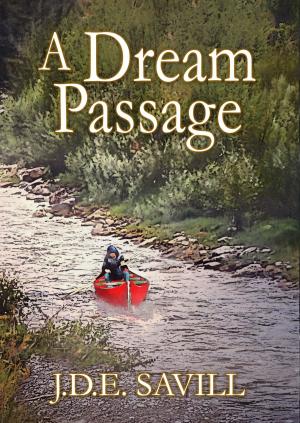bigCover of the book A Dream Passage by 