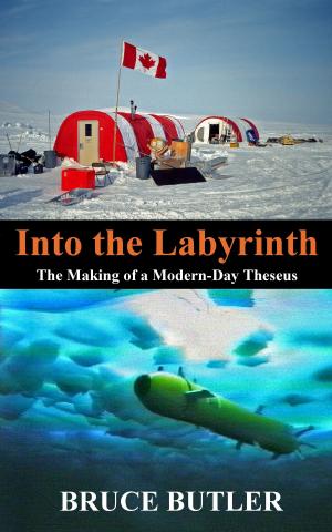 Cover of Into the Labyrinth: The Making of a Modern-Day Theseus