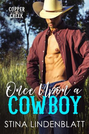 Book cover of Once Upon a Cowboy