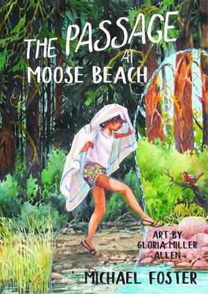 Cover of the book The Passage At Moose Beach by Denis Shuker
