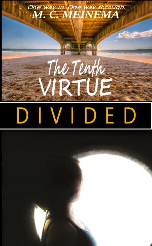 Cover of the book Divided by L. Filion
