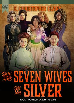 Book cover of The Seven Wives of Silver