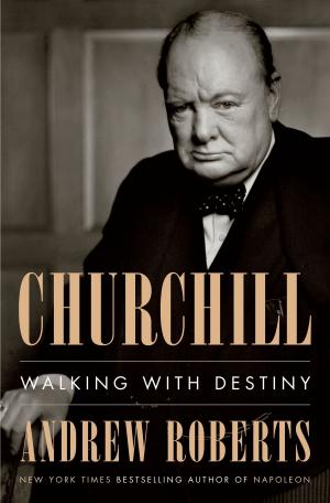 Cover of the book Churchill by Susan Wright