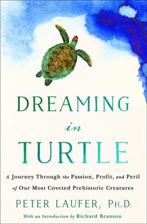 Cover of the book Dreaming in Turtle by Cathryn J. Prince