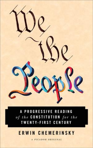 Cover of the book We the People by Paul Goldberg