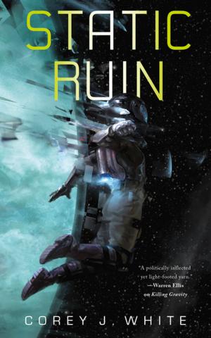 Cover of the book Static Ruin by Max Allan Collins