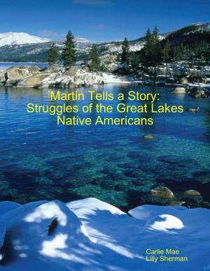 Book cover of Martin Tells a Story: Struggles of the Great Lakes Native Americans