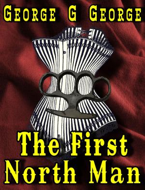 bigCover of the book The First North Man by 
