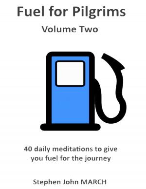 Book cover of Fuel for Pilgrims (Volume Two)