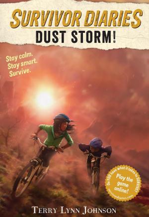 Book cover of Dust Storm!