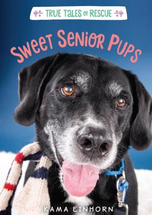 Book cover of Sweet Senior Pups