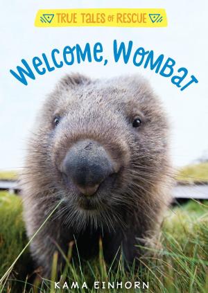 Cover of the book Welcome, Wombat by Lois Lowry