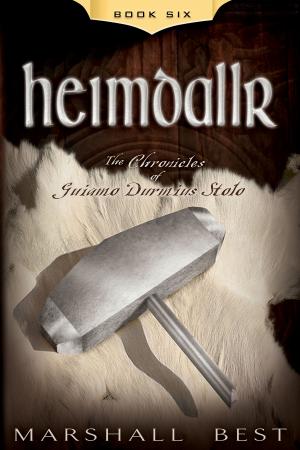 Cover of the book Heimdallr by Darren Ritchie