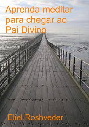 Cover of the book Aprenda a meditar para chegar ao Pai Divino by Gualberto Sales