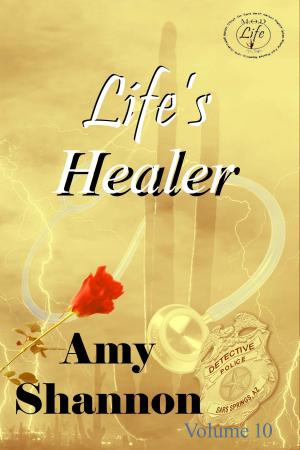 Cover of the book Life's Healer by Karen  Kilpatrick