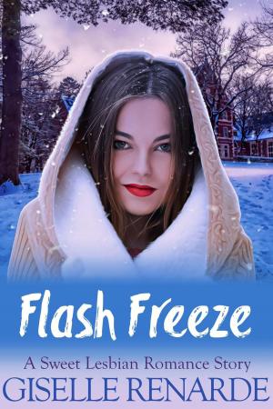 Book cover of Flash Freeze: A Sweet Lesbian Romance Story