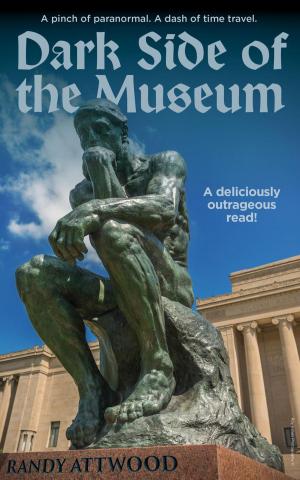 bigCover of the book Dark Side of the Museum by 