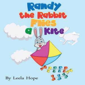 Cover of the book Randy the Rabbit Flies a Kite by leela hope