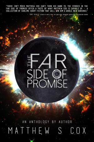 Book cover of The Far Side of Promise