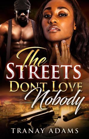 bigCover of the book The Streets Don't Love Nobody by 