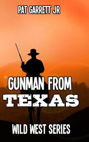 Book cover of A Gunman from Texas