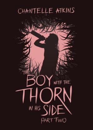 Book cover of The Boy With The Thorn In His Side - Part Two