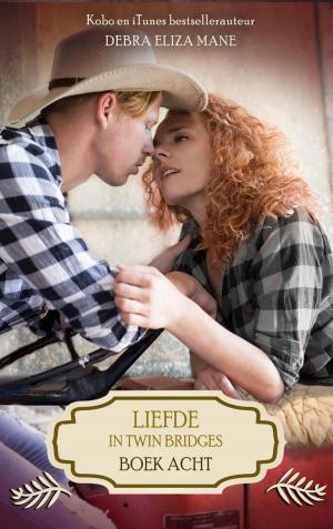 Cover of the book Liefde in Twin Bridges: boek acht by Stefanie van Mol
