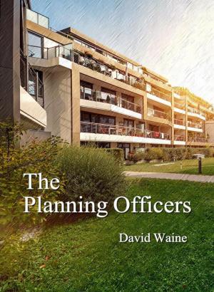 Book cover of The Planning Officers