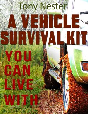 Cover of the book A Vehicle Survival Kit You Can Live With by Jennette Green