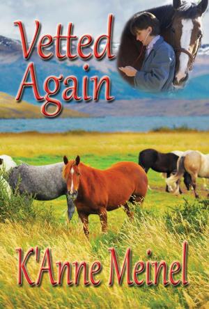 Cover of the book Vetted Again by HollyAnne Weaver