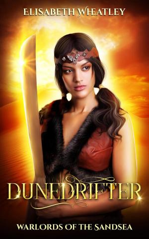 Cover of the book Dunedrifter by Robert Siegel